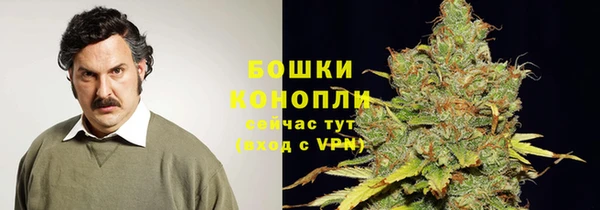 мяу мяу мука Касимов