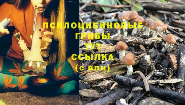 бошки Карталы